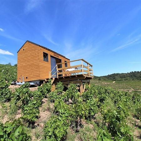 Tiny House Au Coeur Du Vignoble Beaujolais Hotel Fleurie Exterior foto